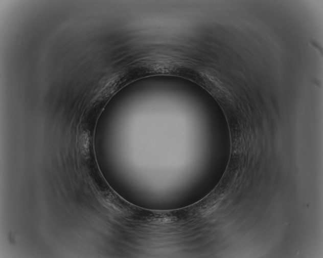 X0000091940646200709191421