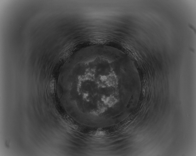 X0000091940647200709191421