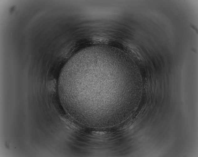 X0000091940649200709191421