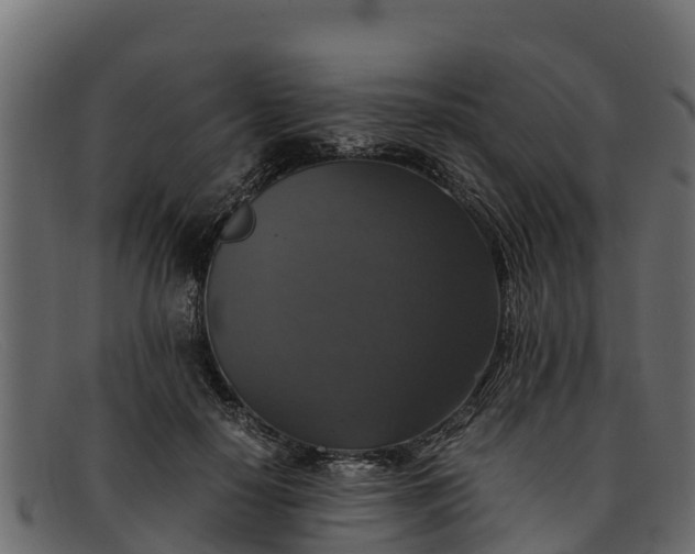 X0000091940650200709191421