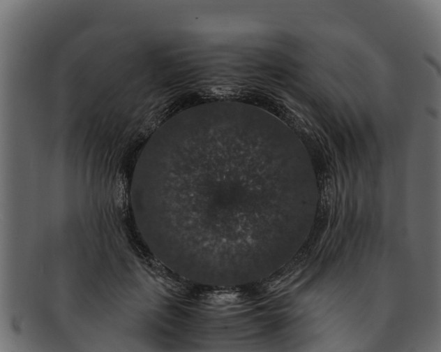 X0000091940651200709191421