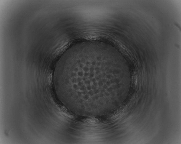 X0000091940652200709191421