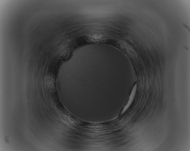 X0000091940653200709191421