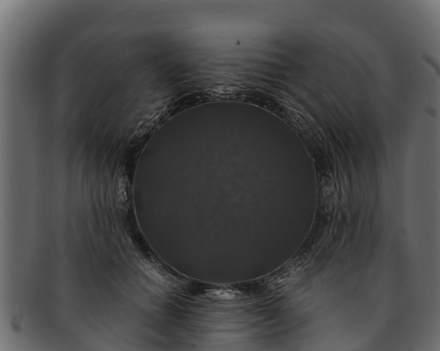 X0000091940654200709191421