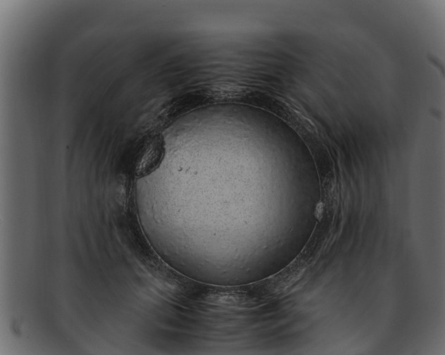 X0000091940655200709191421