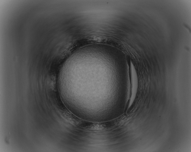 X0000091940656200709191421