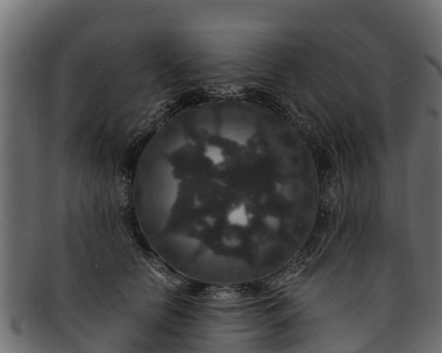 X0000091940658200709191421