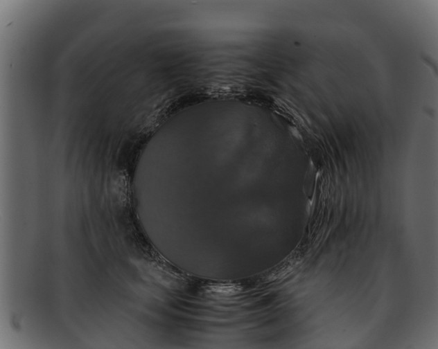 X0000091940659200709191421