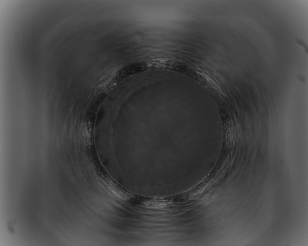 X0000091940661200709191421