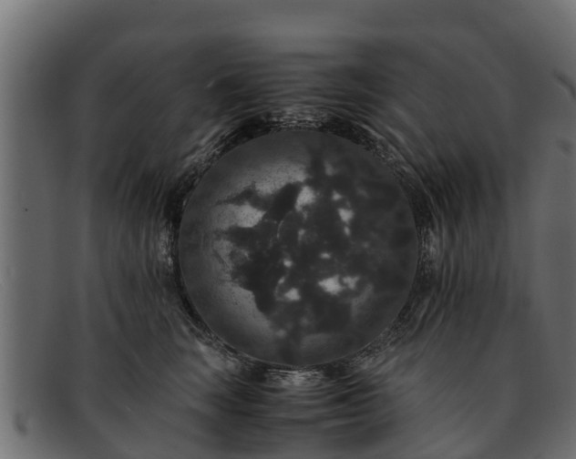 X0000091940663200709191421