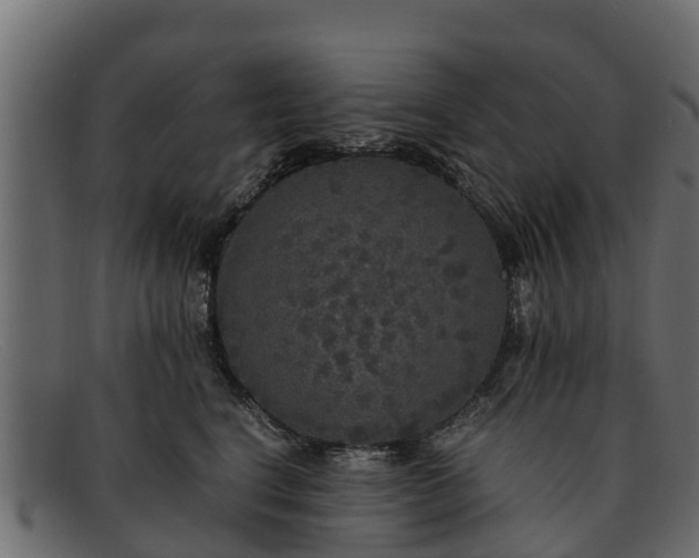 X0000091940664200709191421