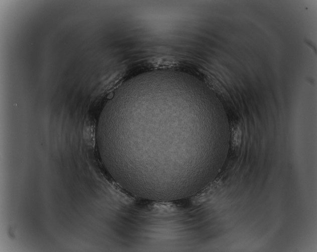 X0000091940666200709191421