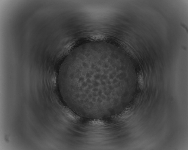 X0000091940668200709191421