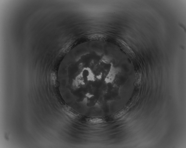 X0000091940669200709191421