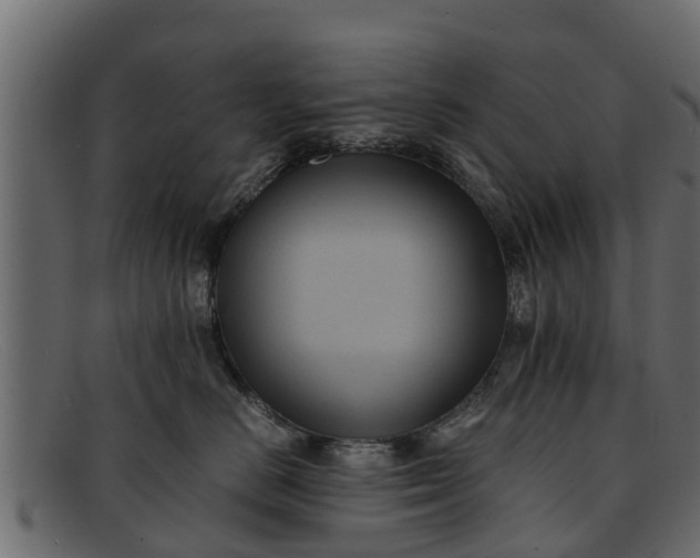 X0000091940670200709191421