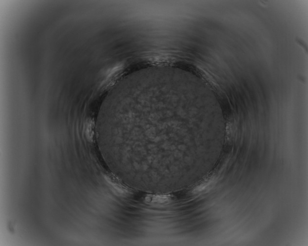 X0000091940671200709191421