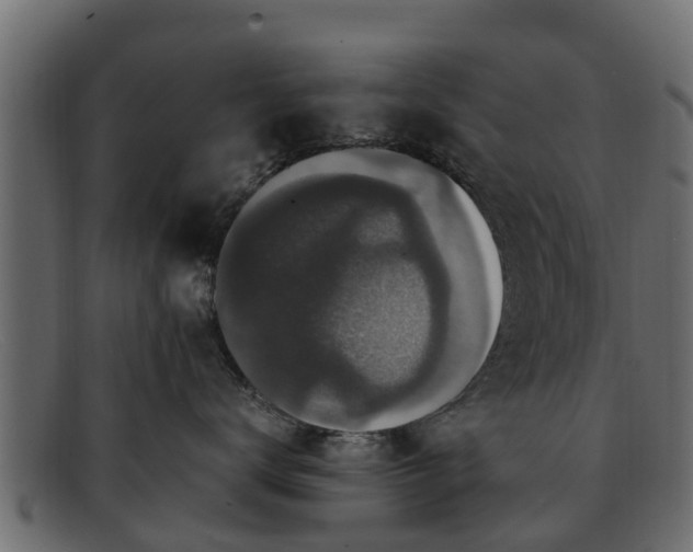 X0000091940672200709191421