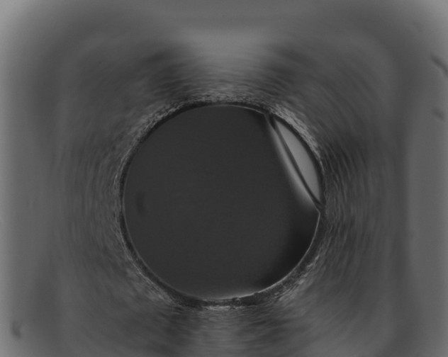 X0000091940673200709191421