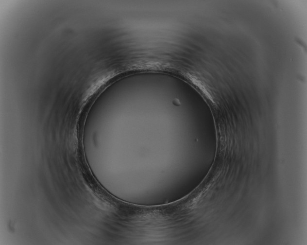 X0000091940674200709191421