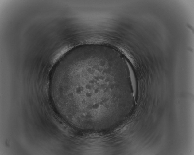 X0000091940675200709191421