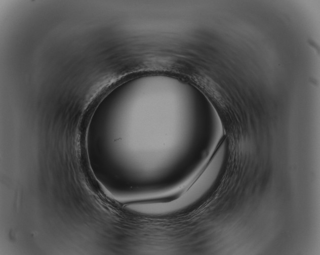 X0000091940676200709191421