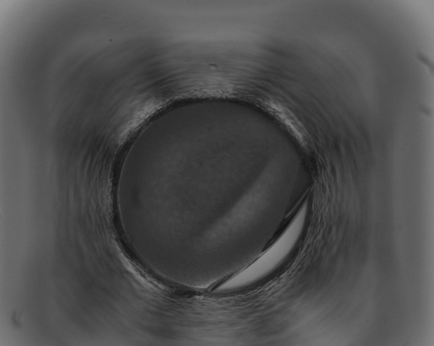 X0000091940677200709191420