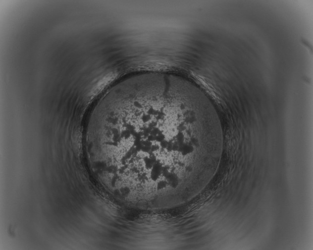 X0000091940679200709191420