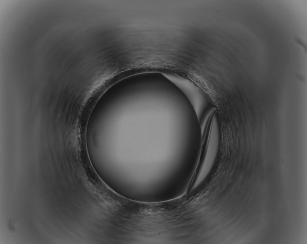 X0000091940680200709191420