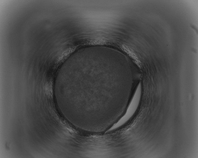 X0000091940681200709191420