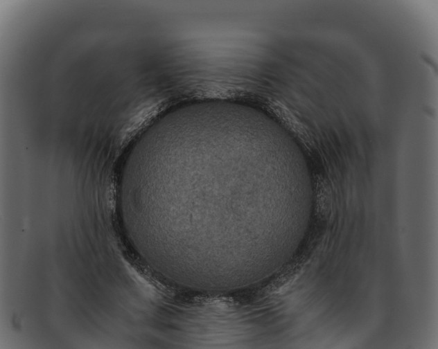 X0000091940683200709191420