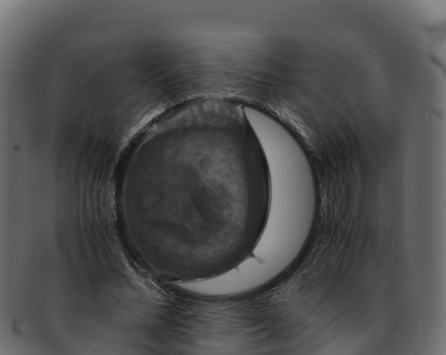 X0000091940684200709191420