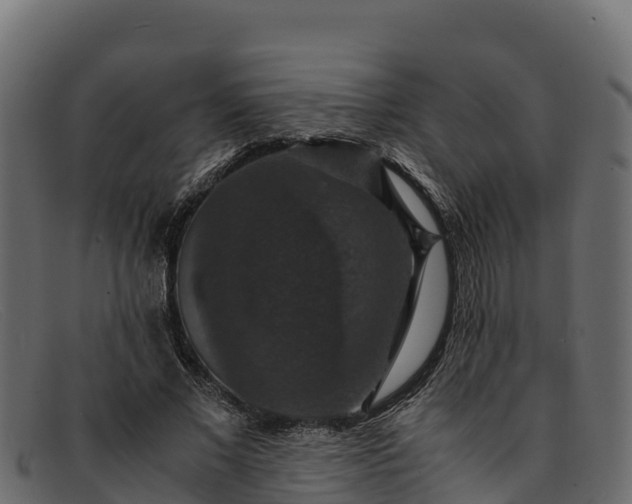 X0000091940685200709191420