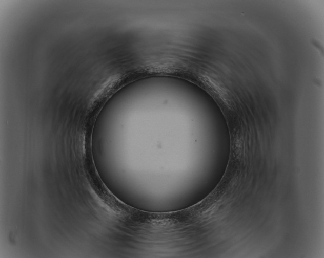 X0000091940686200709191420