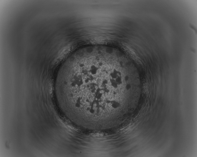 X0000091940687200709191420