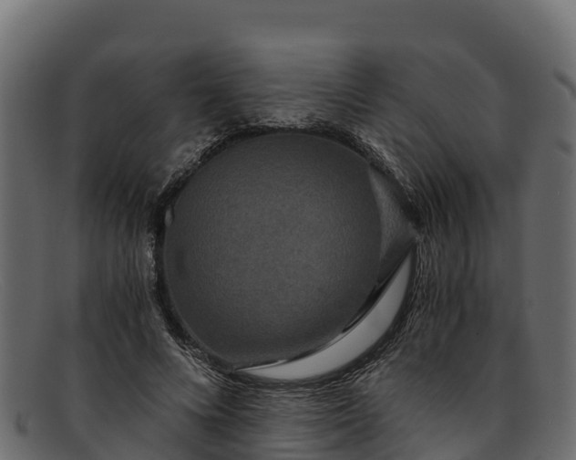 X0000091940688200709191420