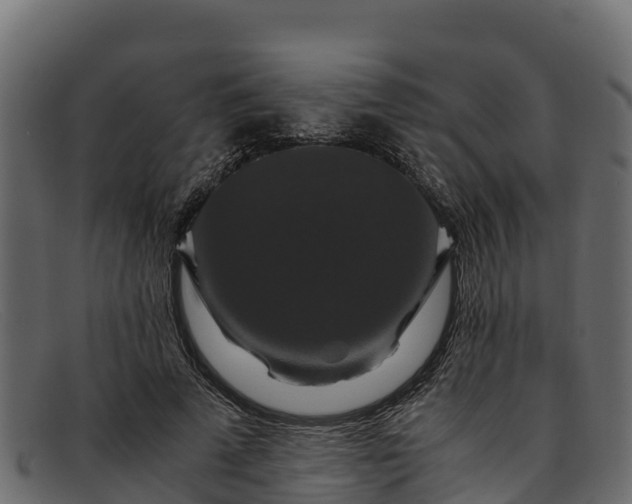 X0000091940689200709191420