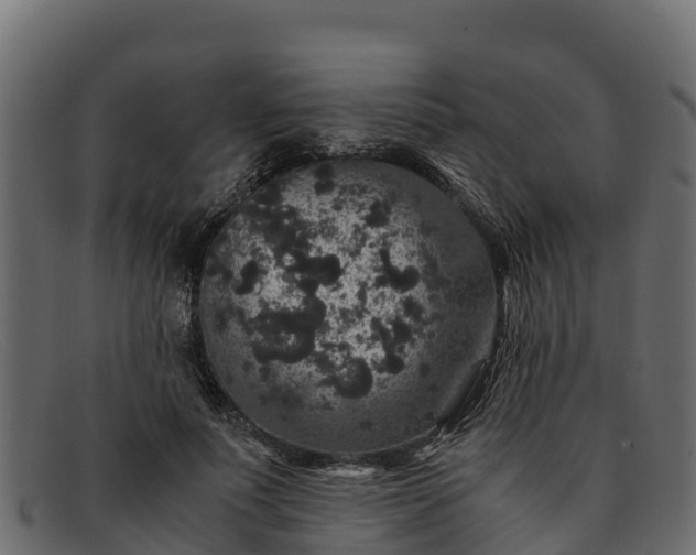 X0000091940691200709191420