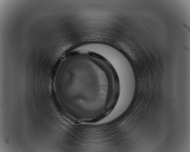 X0000091940692200709191420