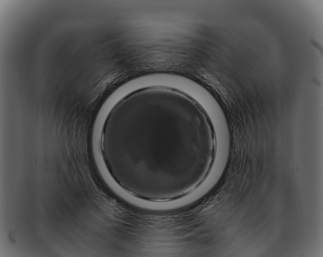 X0000091940693200709191420