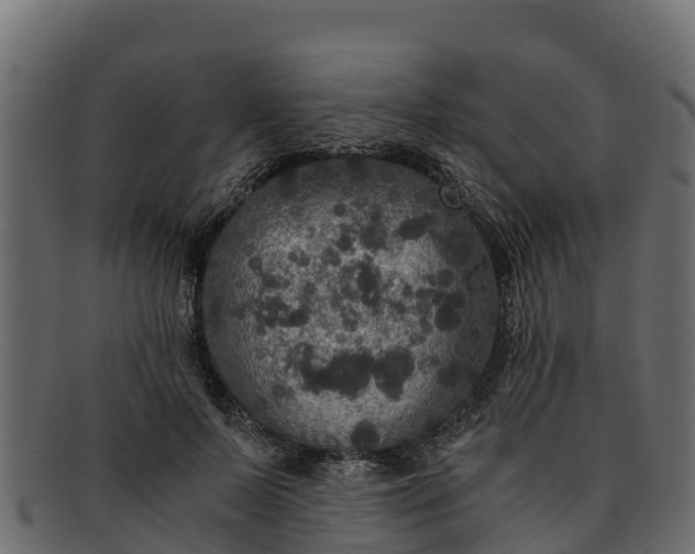 X0000091940695200709191420