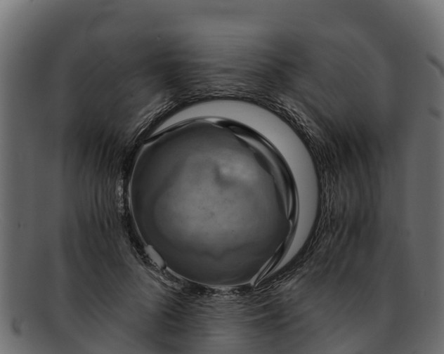 X0000091940696200709191420