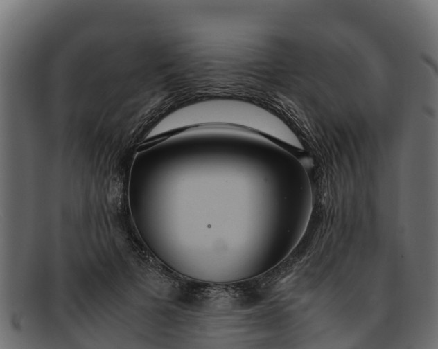 X0000091940697200709191420