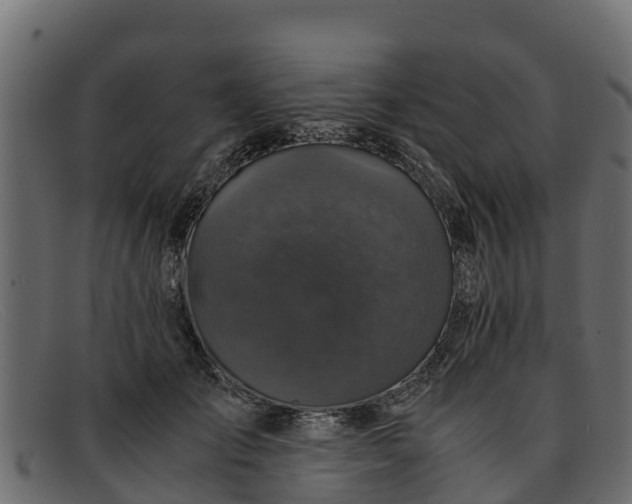 X0000091940701200709191420