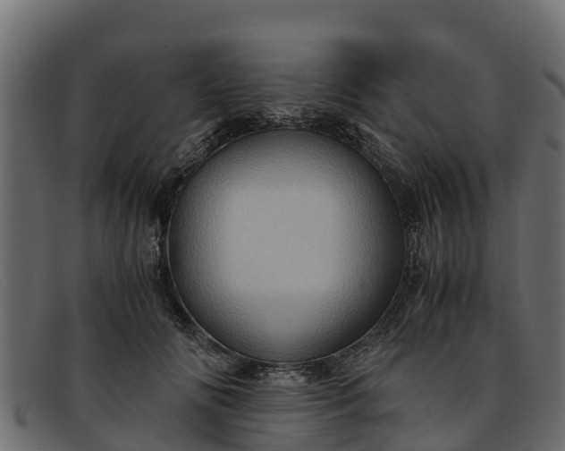 X0000091940702200709191420