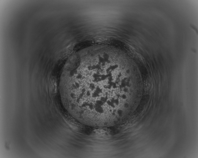 X0000091940703200709191420