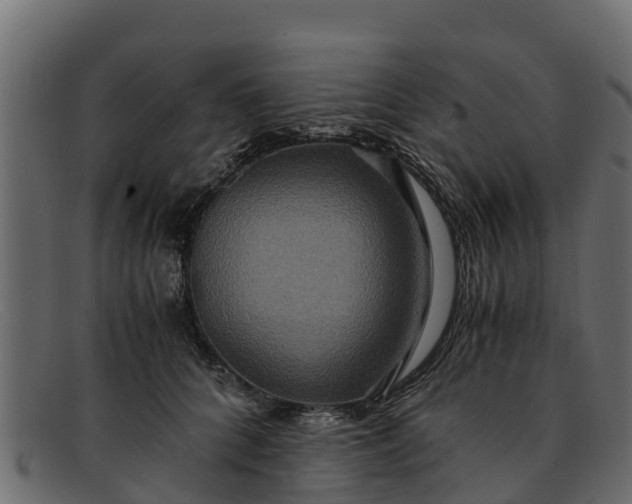 X0000091940704200709191420