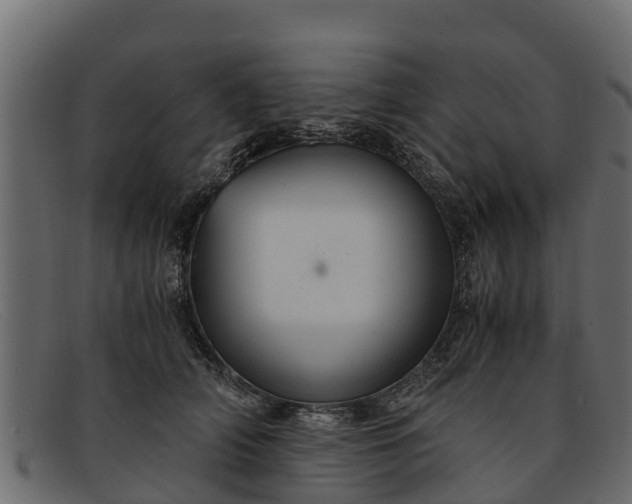 X0000091940706200709191420