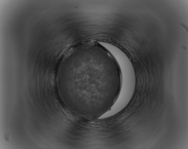 X0000091940708200709191420