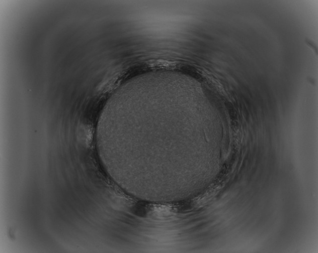 X0000091940709200709191420