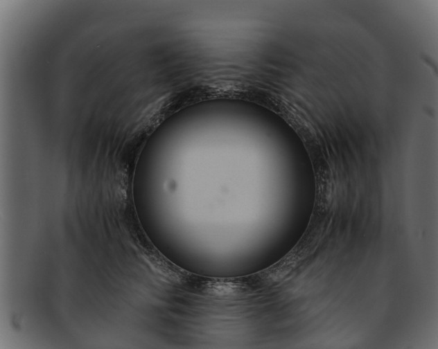 X0000091940710200709191420